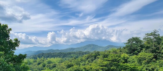 Naklejka premium Scenic mountain landscape with lush trees under a clear blue sky and fluffy white clouds in a vibrant natural setting.