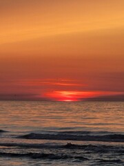 Fototapeta premium red sunset at the beach