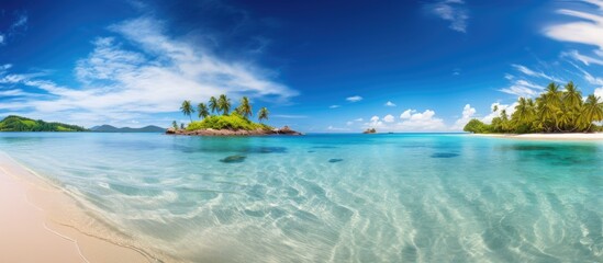 Fototapeta premium Serene tropical beach panorama with crystal clear waters and lush palm trees under a vibrant blue sky in a peaceful natural setting