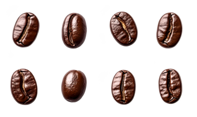 Close up of coffee beans isolate on transparent background, cutout, png