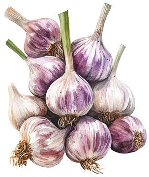 A painting of several purple garlic bulbs. The painting is in watercolor and has a moody, almost somber feel to it. The bulbs are arranged in a pyramid shape, with the top bulb being the largest
