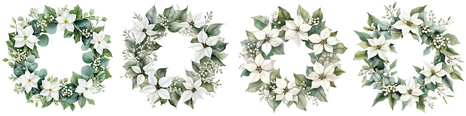 Set of Christmas wreath of white poinsettia, eucalyptus, gum leaves, sage green, watercolor, isolated on a Transparent background