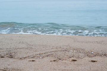 A clean sandy shore gently blending into the calm sea. A minimalist landscape reflecting the tranquility and serenity of nature.