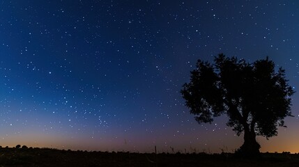 Naklejka premium Blue_Astronomy_Beautiful_Sky_Starry_Sky