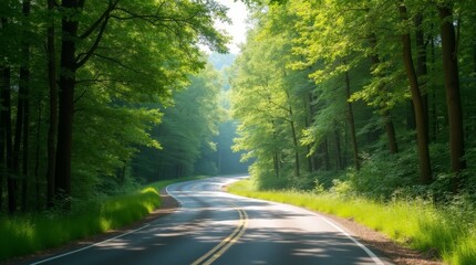 Obraz premium winding road leading through a lush forest, symbolizing the restart of a journey, atmosphere for new adventures