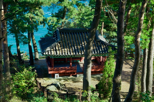 Jukdo Pavilion Amid Pine Forest with Ocean View