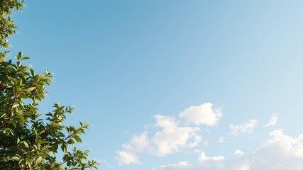 Gentle breeze rustling the leaves as soft grey clouds drift lazily across a serene blue sky with a few scattered white puffs, breeze, leafy trees, grey clouds