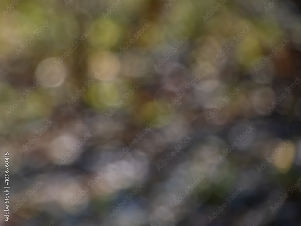 Wall mural bokeh effect and purposely blurred view of sunlight. blurry background with photographic bokeh effec