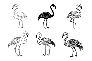 Add elegance to your designs with this flamingo vector set. Perfect for tropical-themed projects, decor, patterns, and digital artwork, bringing a vibrant and exotic touch to your creations.