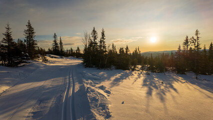 Naklejka premium Winter holiday