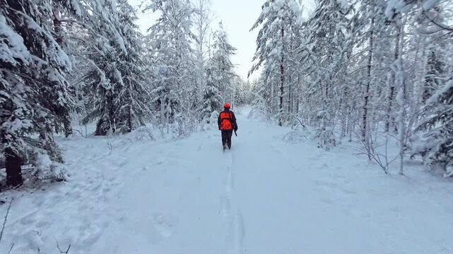 Following a hunter looking for moose tracks during a snowy day in a forest in Finland