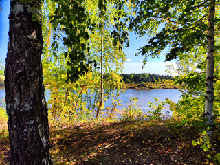 A beautiful landscape with a view of the water of a river or lake through the branches of trees in early spring or summer