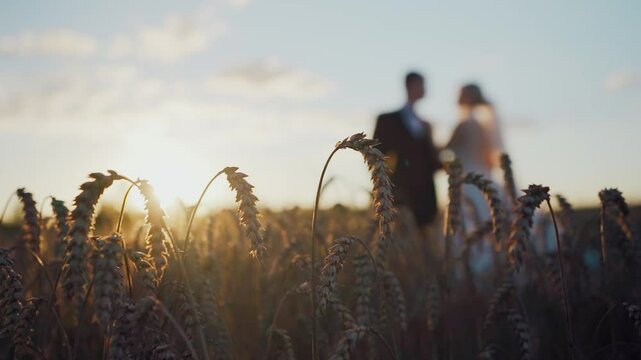 Newlyweds standing in a field with rye at sunset, wedding day. Unrecognizable people, wedding, happy newlywed couple in a field. Beautiful wedding background. Concept of love and continuation of life.