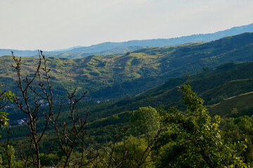 Obraz premium Carpathian Mountains