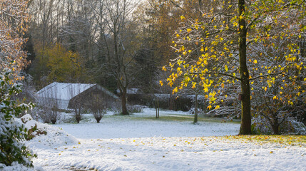 Winter-autumn landscape with snow, greenhouse, trees and some sunshine 