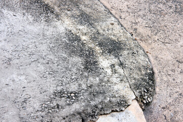 abstract texture and form on plan