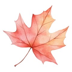 Obraz premium A vibrant watercolor illustration of a maple leaf in shades of red and orange, showcasing the beauty of autumn foliage.