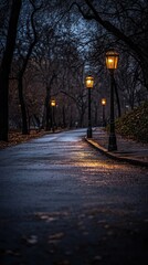 Obraz premium A serene, dimly lit pathway lined with glowing lanterns in a tranquil park setting.