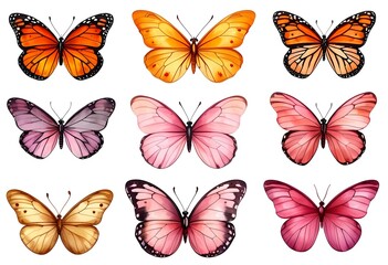 Colorful butterfly collection: variety of patterns and colors