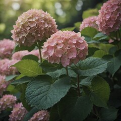 "A delicate pink hydrangea flower with soft, blurred green leaves surrounding it."