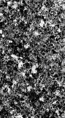 Close-up of a black and white granite surface, showcasing its unique patterns and textures.