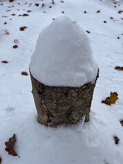 Small log with a lot of snow on top