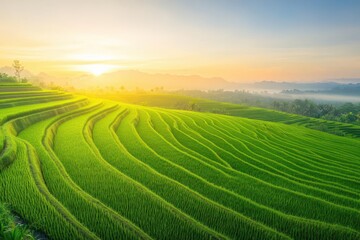 Serene Bali rice terraces, cascading green watercolor fields under a soft golden sunrise, light mist in the air