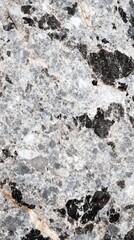 Detailed close-up of a natural granite stone, showcasing its intricate patterns and textures.