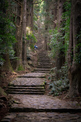 熊野古道　大門坂