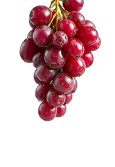 Fototapeta premium banch of grape with water droplets on it, transparent png