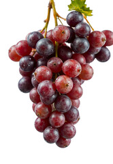Fototapeta premium banch of grape with water droplets on it, transparent png