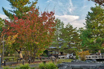 紅葉に包まれた日本庭園