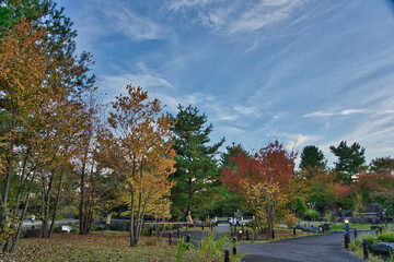 紅葉に包まれた日本庭園