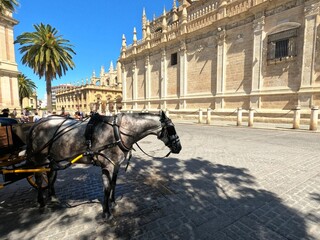 Coche de caballos a la espera de turistas junto a la Catedral de Sevilla