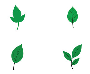 green leaves isolated on white background 