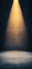 A dramatic spotlight illuminating a dark space, creating a sense of mystery and focus.