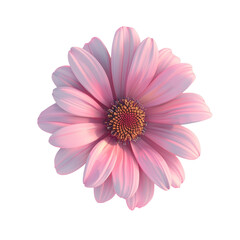 Obraz premium Pink Flower Blooming