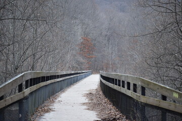 Snow covered walking path on wooden bridge