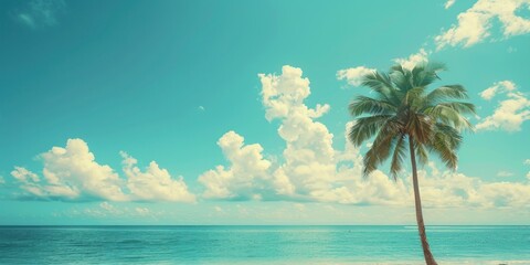 Obraz premium Palm Tree on a Tropical Beach with Blue Skies