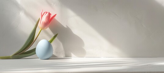 Minimalistic Easter Background with Pastel Egg and Pink Tulip for Modern Design