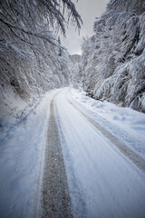 Snowy mountain road winding through snow covered trees in winter