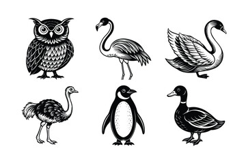 Set of bird's stock illustration Owl Penguin Ostrich duck Swan Flamingo
