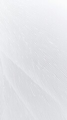 Obraz premium Soft and delicate feather texture resembling a gradient of white and grey shades with intricate details, natural