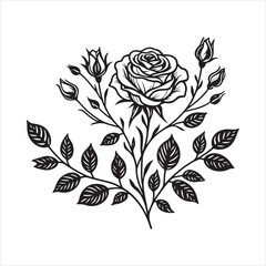 Rose line art silhouette on white background
