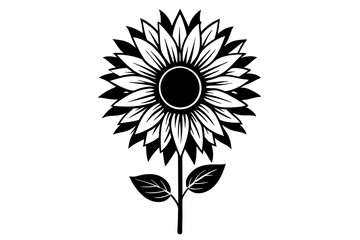 sunflower isolated on white