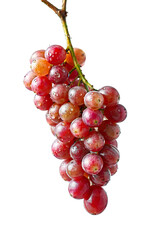Fototapeta premium banch of grape with water droplets on it, transparent png