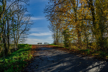 Eine Parkbank an einem herbstlichen Weg