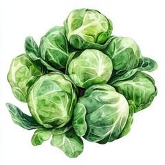 Fototapeta premium Fresh green Brussels sprouts clustered on white background.