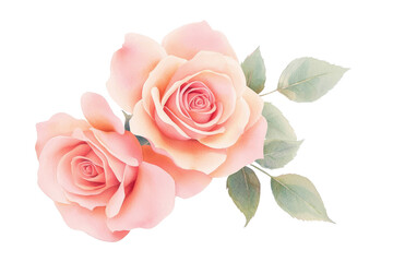 Beautiful pink roses with delicate petals and green leaves, perfect for floral designs and romantic themes.