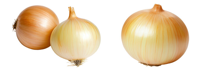 Fresh and vibrant onions displayed on a clean background, perfect for cooking imagery. transparent background.